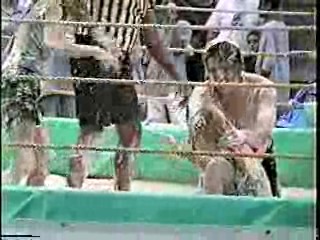 Oatmeal Wrestling #315