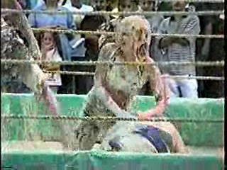 Oatmeal Wrestling #315