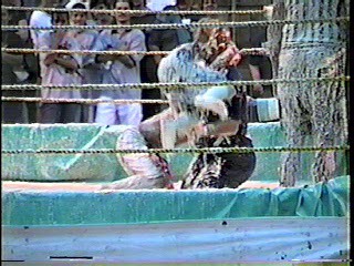 Oatmeal Wrestling #316