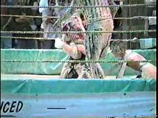 Oatmeal Wrestling #316