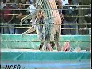 Oatmeal Wrestling #316