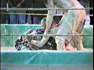 Oatmeal Wrestling #316