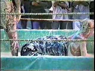 Oatmeal Wrestling #316