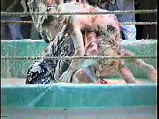 Oatmeal Wrestling #316