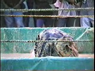 Oatmeal Wrestling #316