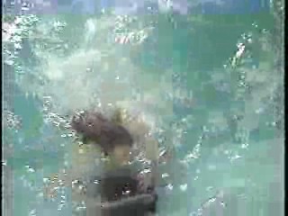 TVO (Mexican Gameshow)