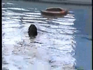 Gill in a wedding dress,  Sammy in yellow