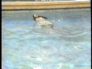Practice Time at the Public Pool