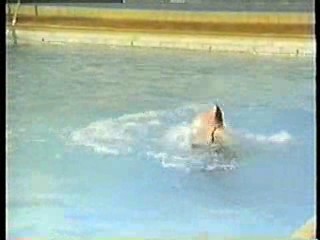 Practice Time at the Public Pool