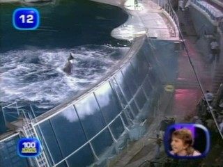 L'Ã©tÃ© des reccords french tv show