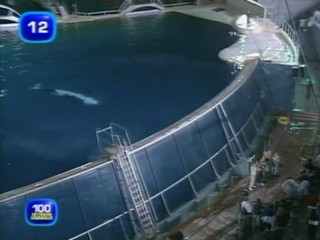 L'Ã©tÃ© des reccords french tv show