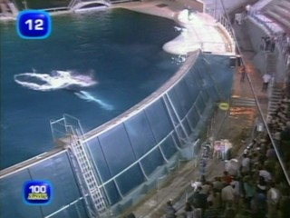 L'Ã©tÃ© des reccords french tv show