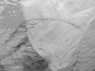 POM Aphrodite Commercial