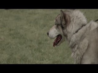 Taylor Swift - The Making of Out of the Woods