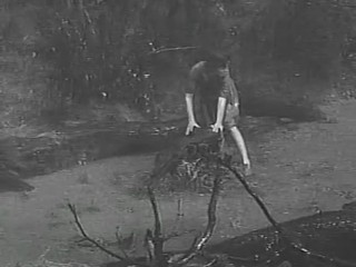 The Alligator People