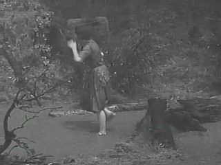 The Alligator People