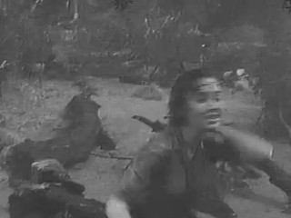 The Alligator People