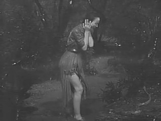 The Alligator People