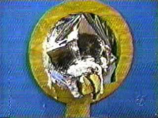 Richard Bay show pies