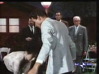 The Ugly Dachshund (1966)