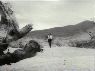 Faster Pussycat, Kill, Kill