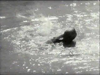 Faster Pussycat, Kill, Kill