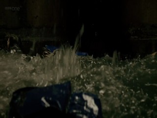 The Borrowers (2011)