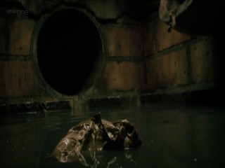 The Borrowers (2011)