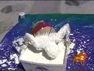 I Bet You Will- Cottage Cheese