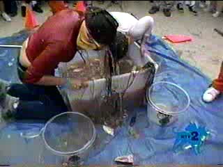 I Bet You Will- Bobbing for Fish Heads