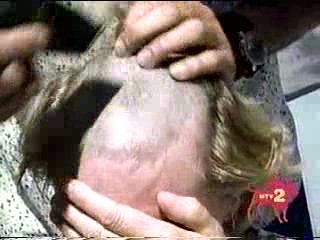 I Bet You Will- Clown Makeover / Pies