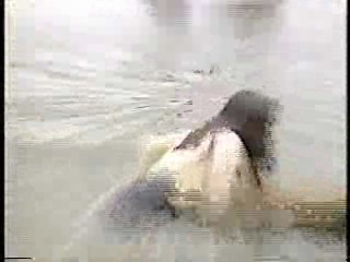 Japanese TV Bloopers (4)