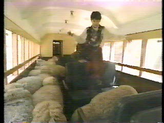 Japanese comedy shows (2)