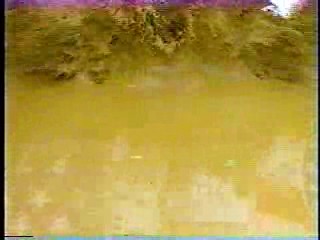 Japanese comedy show,  Japanese Gameshow