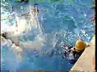 Japanese gameshow,  Japanese comedy show