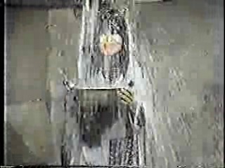 Japanese comedy shows (7)