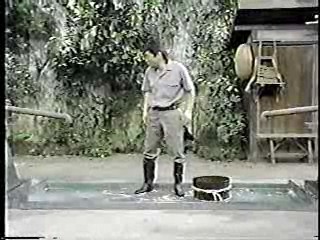 Japanese comedy shows (7)