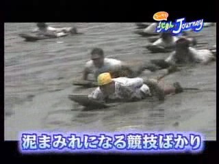 Japanese NEWS report