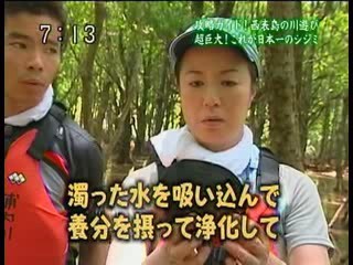 Japanese news report