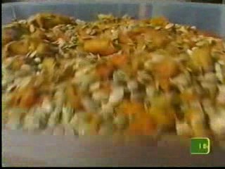 I Bet You Will -- Pumpkin guts