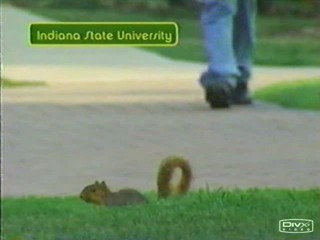 I Bet You Will -- Breakfast Foods