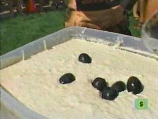 I Bet You Will -- Gravy Dunk