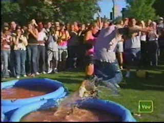 I Bet You Will -- Pool of Water