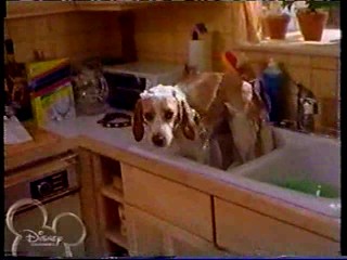 The Jersey -- Hillary Water & Cream & Food