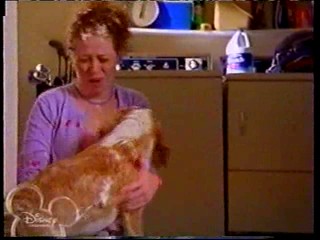 The Jersey -- Hillary Water & Cream & Food