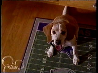 The Jersey -- Hillary Milkshake & Eggy Mixture