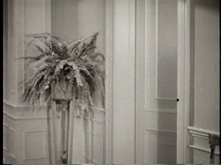 Healthy, Wealthy and Dumb (3 Stooges)