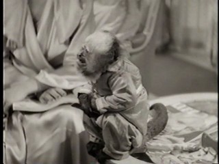 Healthy, Wealthy and Dumb (3 Stooges)