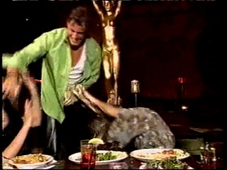 North Shore & 5th Wheel & STL