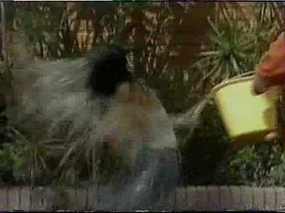 ¡Qué locura! -- Ni Si, Ni, NO (Andreína Yépez & Mercedes Ortega)